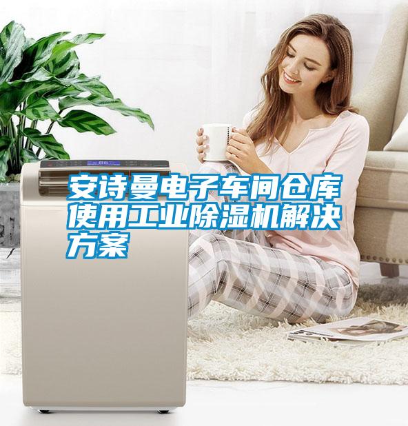 安詩(shī)曼電子車間倉(cāng)庫(kù)使用工業(yè)除濕機(jī)解決方案