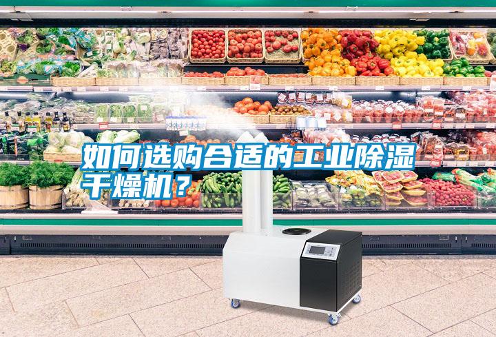 如何選購合適的工業除濕干燥機？