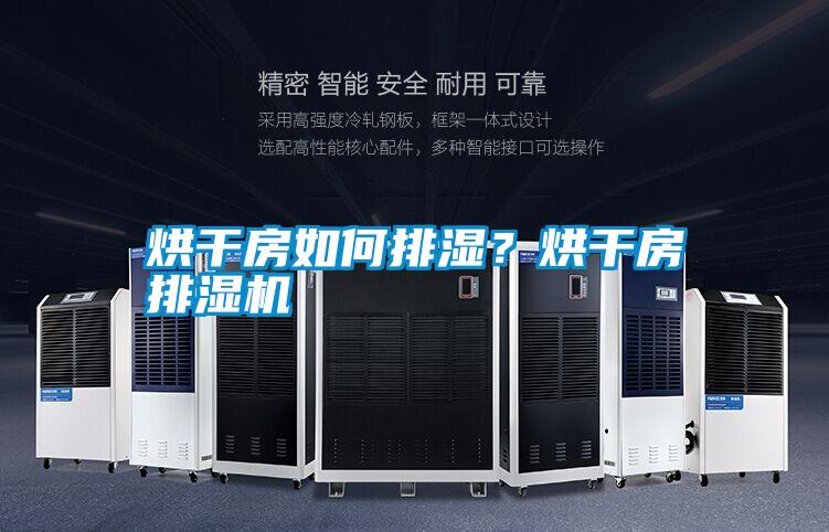 烘干房如何排濕？烘干房排濕機