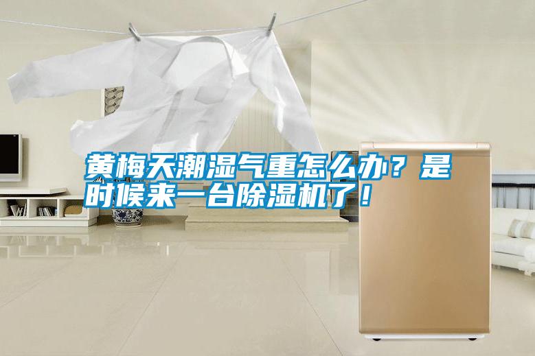黃梅天潮濕氣重怎么辦？是時候來一臺除濕機了！
