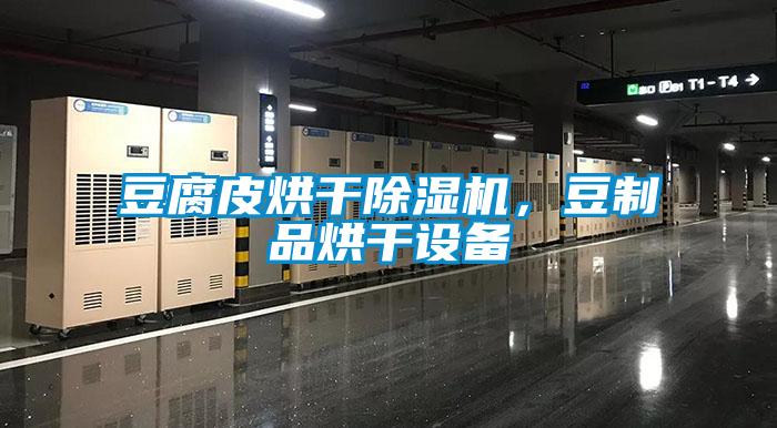 豆腐皮烘干除濕機，豆制品烘干設備