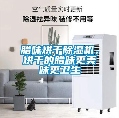 臘味烘干除濕機，烘干的臘味更美味更衛生