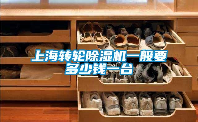 上海轉(zhuǎn)輪除濕機一般要多少錢一臺
