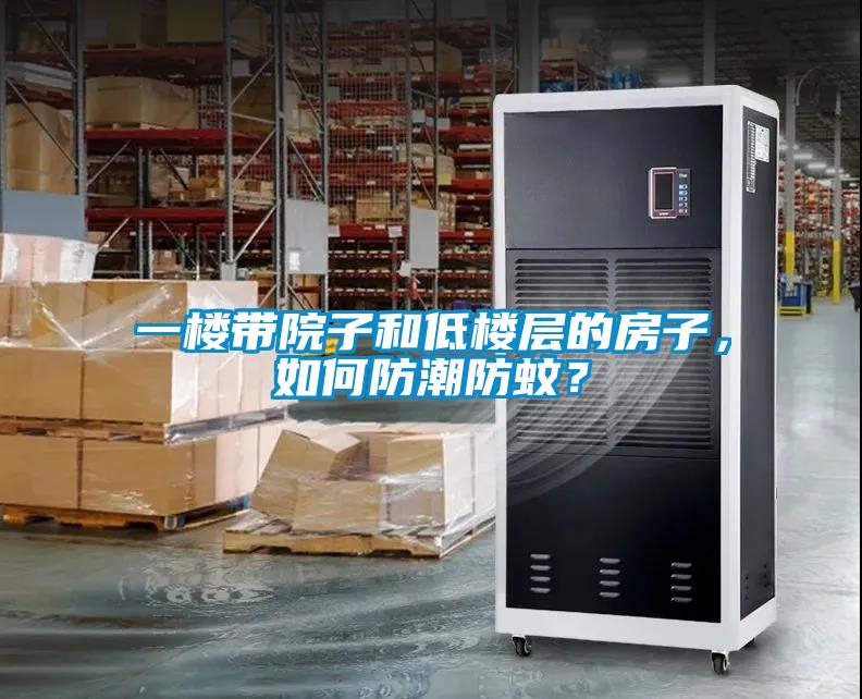 一樓帶院子和低樓層的房子，如何防潮防蚊？