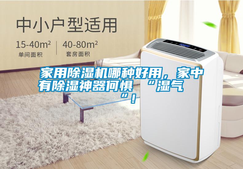 家用除濕機哪種好用，家中有除濕神器何懼 “濕氣 “！