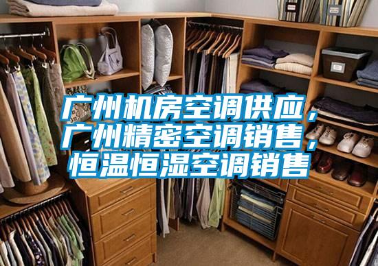 廣州機(jī)房空調(diào)供應(yīng)，廣州精密空調(diào)銷售，恒溫恒濕空調(diào)銷售