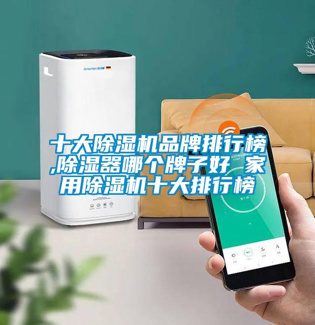 十大除濕機(jī)品牌排行榜,除濕器哪個牌子好 家用除濕機(jī)十大排行榜