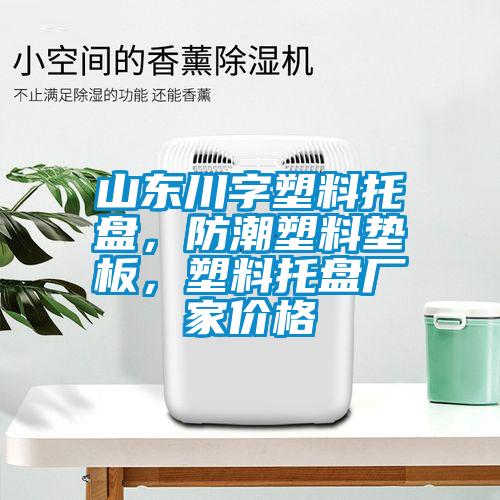 山東川字塑料托盤(pán)，防潮塑料墊板，塑料托盤(pán)廠家價(jià)格
