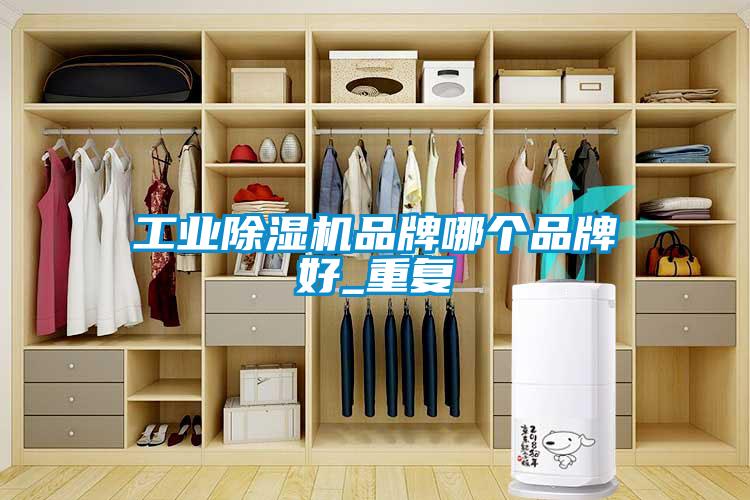 工業除濕機品牌哪個品牌好_重復