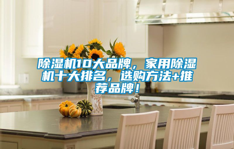 除濕機10大品牌，家用除濕機十大排名，選購方法+推薦品牌！