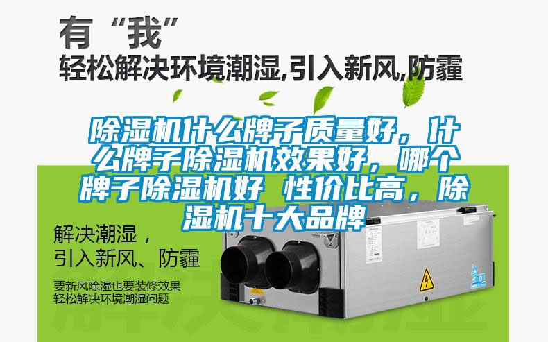 除濕機什么牌子質量好，什么牌子除濕機效果好，哪個牌子除濕機好 性價比高，除濕機十大品牌
