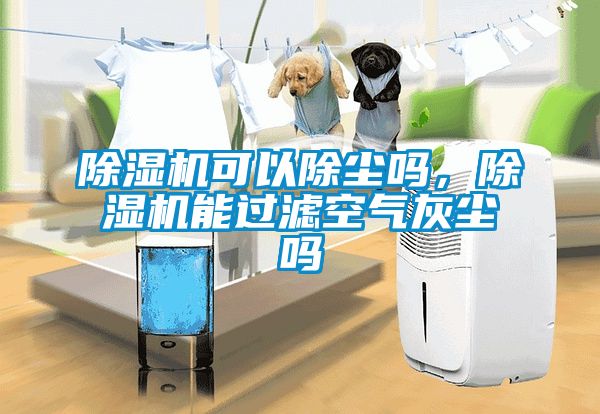 除濕機可以除塵嗎，除濕機能過濾空氣灰塵嗎