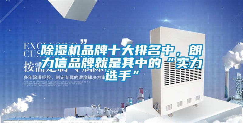 除濕機品牌十大排名中，朗力信品牌就是其中的“實力選手”