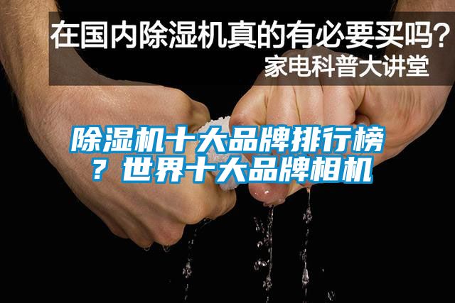 除濕機十大品牌排行榜？世界十大品牌相機
