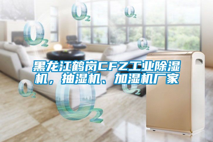 黑龍江鶴崗CFZ工業(yè)除濕機，抽濕機、加濕機廠家