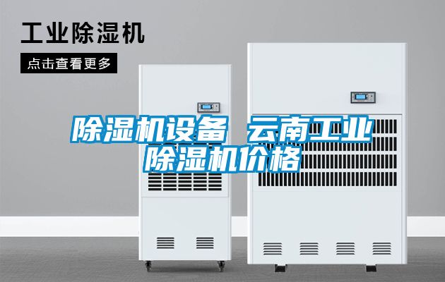 除濕機設備 云南工業除濕機價格