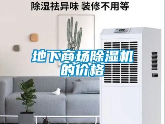 企業(yè)新聞地下商場(chǎng)除濕機(jī)的價(jià)格