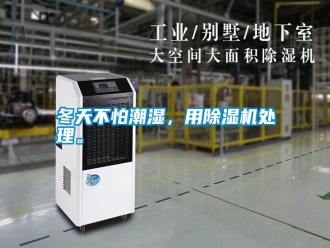 行業新聞冬天不怕潮濕，用除濕機處理。