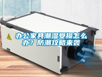 企業新聞辦公家具潮濕受損怎么辦？防潮攻略來襲