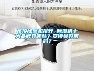 企業(yè)新聞吊頂除濕機(jī)排行 除濕機(jī)十大品牌有哪些？安詩(shī)曼好用嗎？