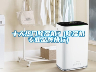 企業新聞十大熱門除濕機？(除濕機專業品牌排行)