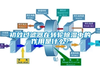 企業(yè)新聞初效過濾器在轉(zhuǎn)輪除濕中的作用是什么？