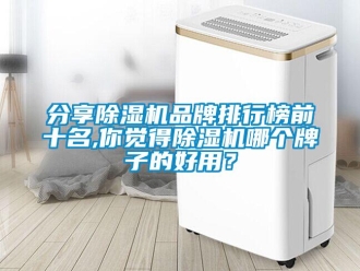 企業(yè)新聞分享除濕機品牌排行榜前十名,你覺得除濕機哪個牌子的好用？