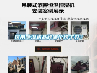 企業新聞醫用除濕機品牌哪個牌子好？