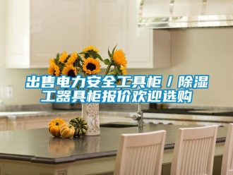 企業(yè)新聞出售電力安全工具柜／除濕工器具柜報價歡迎選購