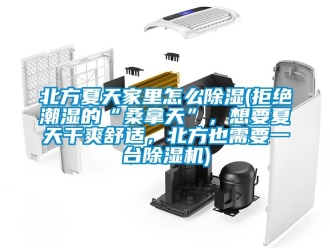 企業新聞北方夏天家里怎么除濕(拒絕潮濕的“桑拿天”，想要夏天干爽舒適，北方也需要一臺除濕機)