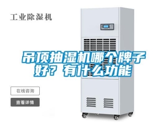 企業(yè)新聞吊頂抽濕機(jī)哪個(gè)牌子好？有什么功能