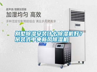 行業(yè)新聞別墅除濕安裝什么除濕機(jī)好？吊裝式中央新風(fēng)除濕機(jī)
