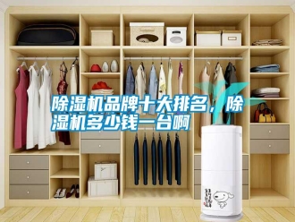行業(yè)新聞除濕機品牌十大排名，除濕機多少錢一臺啊