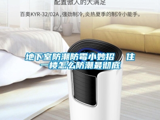 企業新聞地下室防潮防霉小妙招  住一樓怎么防潮最徹底