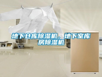 企業(yè)新聞地下倉(cāng)庫(kù)除濕機(jī)，地下室?guī)旆砍凉駲C(jī)