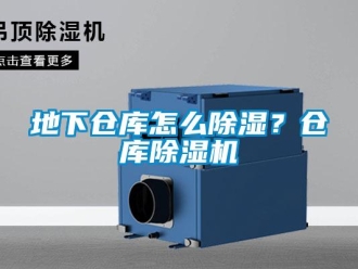 企業(yè)新聞地下倉(cāng)庫(kù)怎么除濕？倉(cāng)庫(kù)除濕機(jī)
