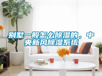 企業(yè)新聞別墅一般怎么除濕的，中央新風除濕系統(tǒng)