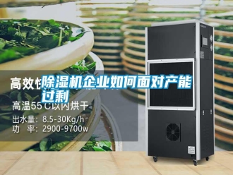 行業(yè)新聞除濕機(jī)企業(yè)如何面對產(chǎn)能過剩