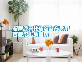 行業新聞超聲波霧化加濕器在食用菌栽培上的應用