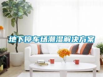 企業(yè)新聞地下停車場(chǎng)潮濕解決方案