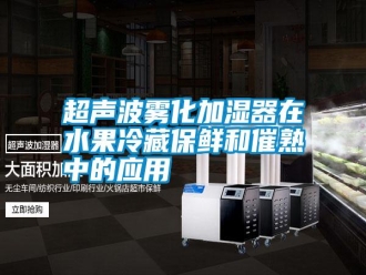 行業新聞超聲波霧化加濕器在水果冷藏保鮮和催熟中的應用
