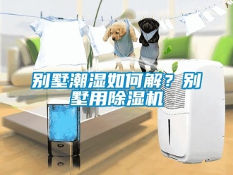 企業新聞別墅潮濕如何解？別墅用除濕機