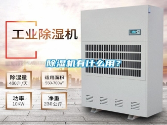 常見問題除濕機有什么用？