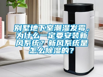 企業(yè)新聞別墅地下室潮濕發(fā)霉，為什么一定要安裝新風系統(tǒng)？新風系統(tǒng)是怎么除濕的？