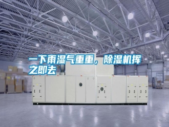 常見問題一下雨濕氣重重，除濕機揮之即去