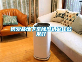 企業(yè)新聞博愛(ài)縣地下室除濕機(jī)處理效果好