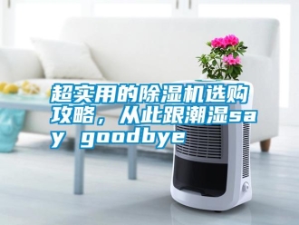 行業新聞超實用的除濕機選購攻略，從此跟潮濕say goodbye
