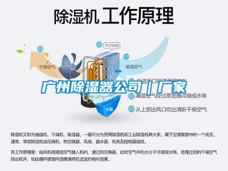 行業新聞廣州除濕器公司｜廠家