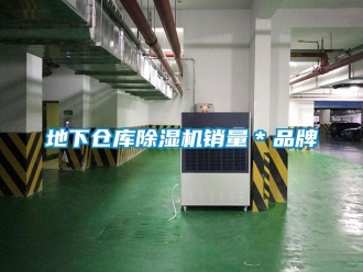 企業(yè)新聞地下倉(cāng)庫(kù)除濕機(jī)銷量＊品牌