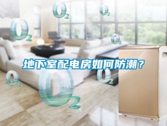企業(yè)新聞地下室配電房如何防潮？